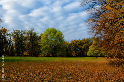 autumn park landscape design