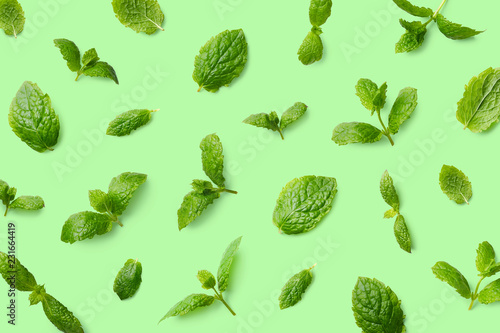 Green pattern of mint leaves
