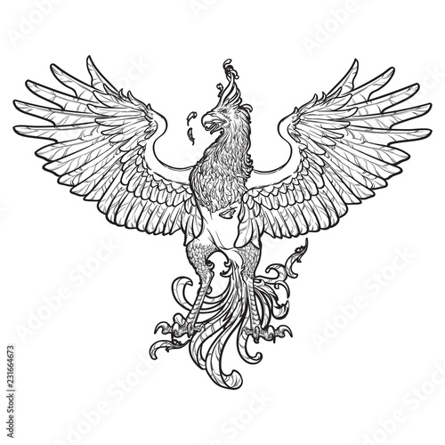Phoenix or Phenix magic creature from ancient greek myths. Heraldic supporter. Sketch isolated on white background. EPS10 vector illustration.
