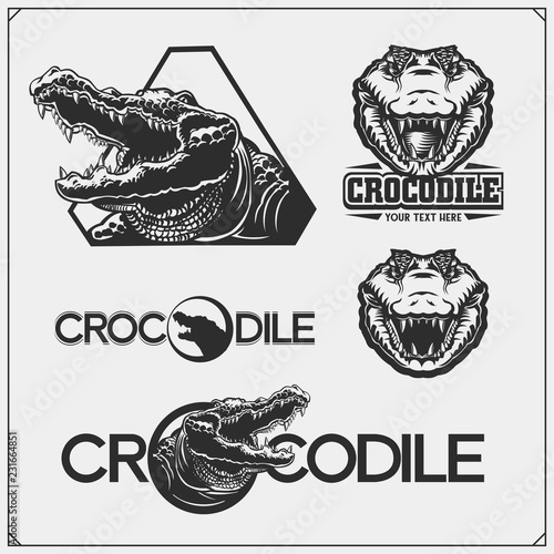 The emblems with crocodile for a sport team. Crocodile labels, badges and design elements.
