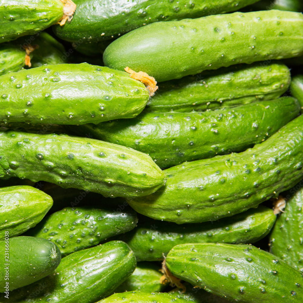 Cucumbers Cucumbers