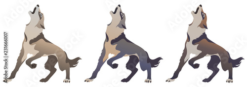 wolf howls, color vector illustration for your design.