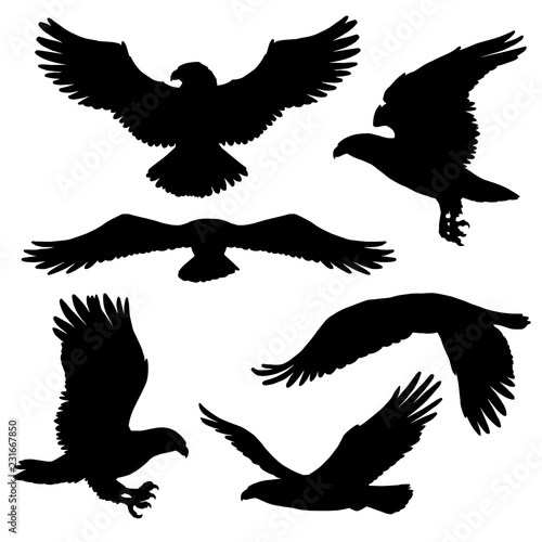Eagle or hawk silhouettes with broad wings