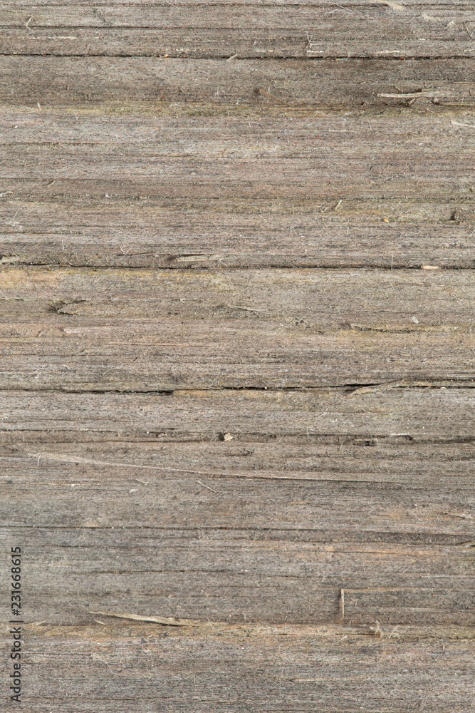 Wood texture Wood texture
