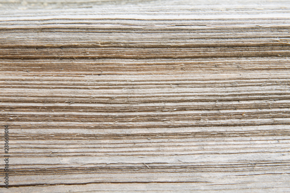 Natural texture Natural texture