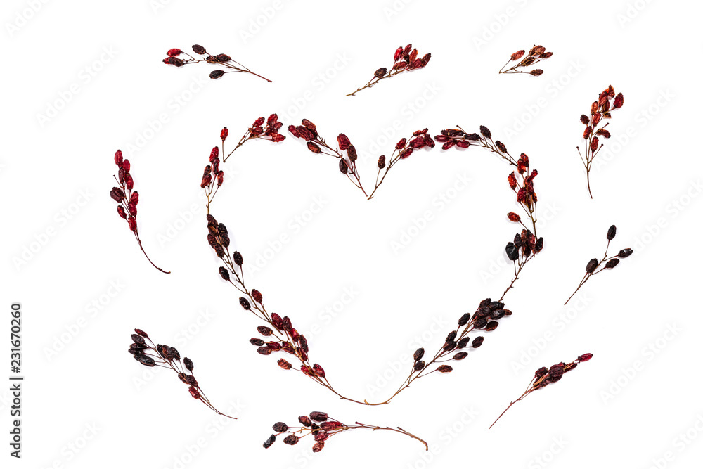 image of a love symbol in the form of a heart made of barberry twigs on a white background