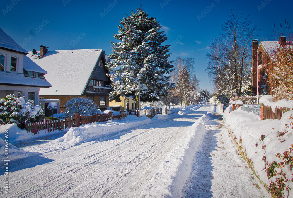 Fototapeta premium Winter in the City