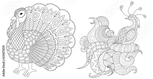 Turkey and peacock collection for coloring book page and printed design. Vector illustration