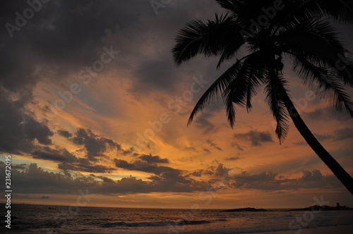 tropischer Sonnenuntergang am Straand mit Palme