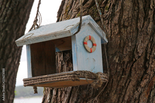 bird feeder on a tree