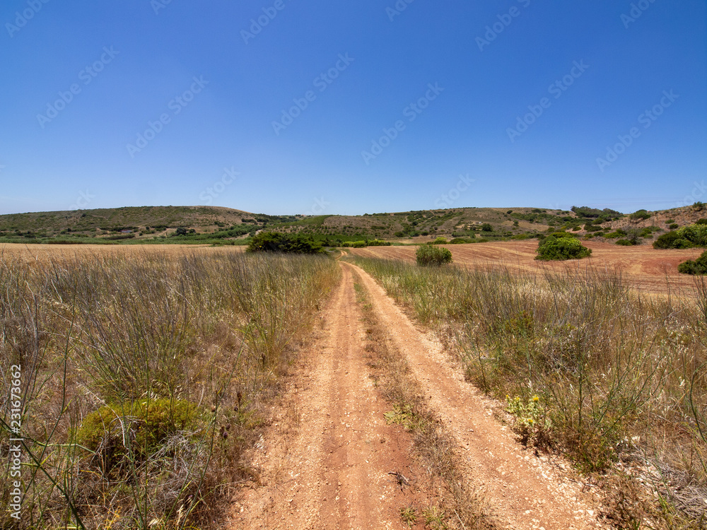 Portuguese road in the field