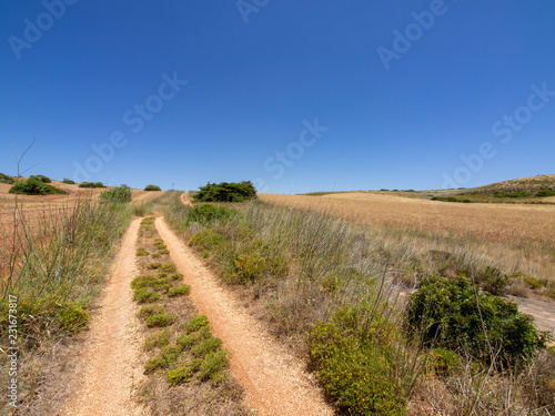 Portuguese road in the field