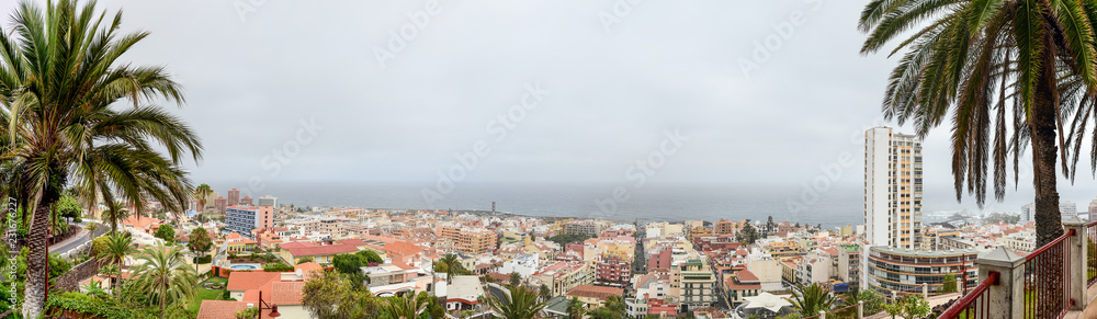 panorama of puerto de la cruz, tenerife, framed by palm trees