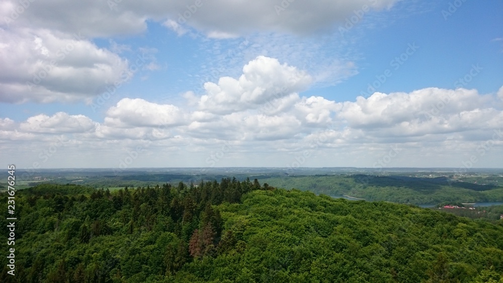 natura drzewa kolory rośliny niebo chmury natura drzewa kolory rośliny niebo chmury
