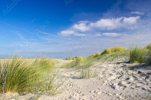 the dunes, Renesse, Zeeland, the Netherlands