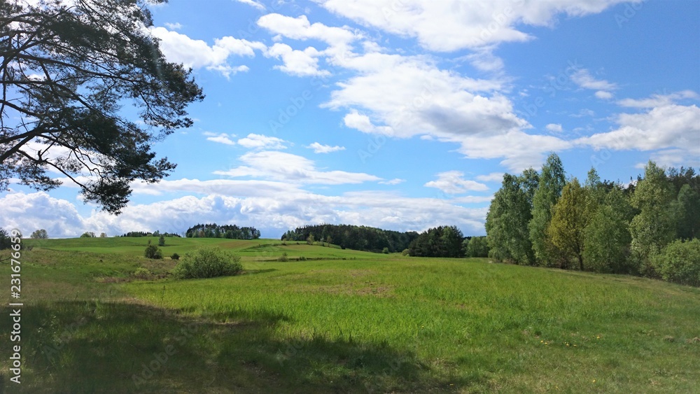 Obraz premium natura drzewa kolory rośliny niebo chmury 