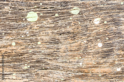 Wood patterned background on space
