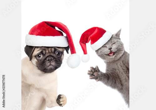 Cat and Dog with red christmas hats peeking behind empty white board and looking at camera. isolated on white background © Ermolaev Alexandr