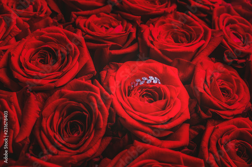Diamond ring inside red roses bouquet, background of scarlet roses