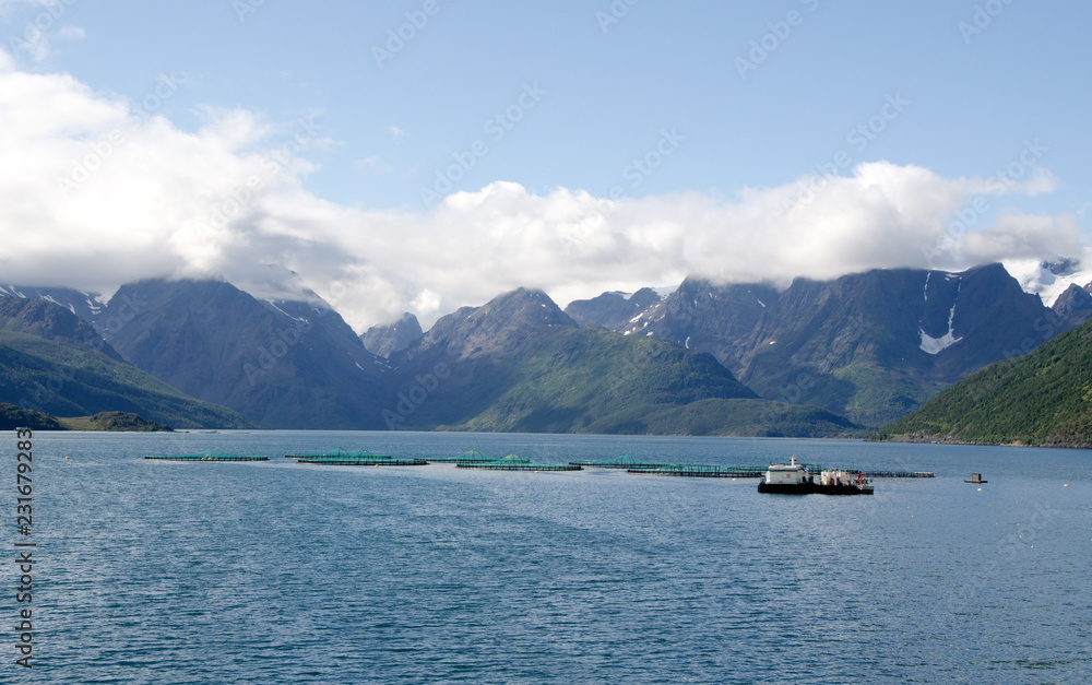 Lachszucht in Norwegen Lachszucht in Norwegen