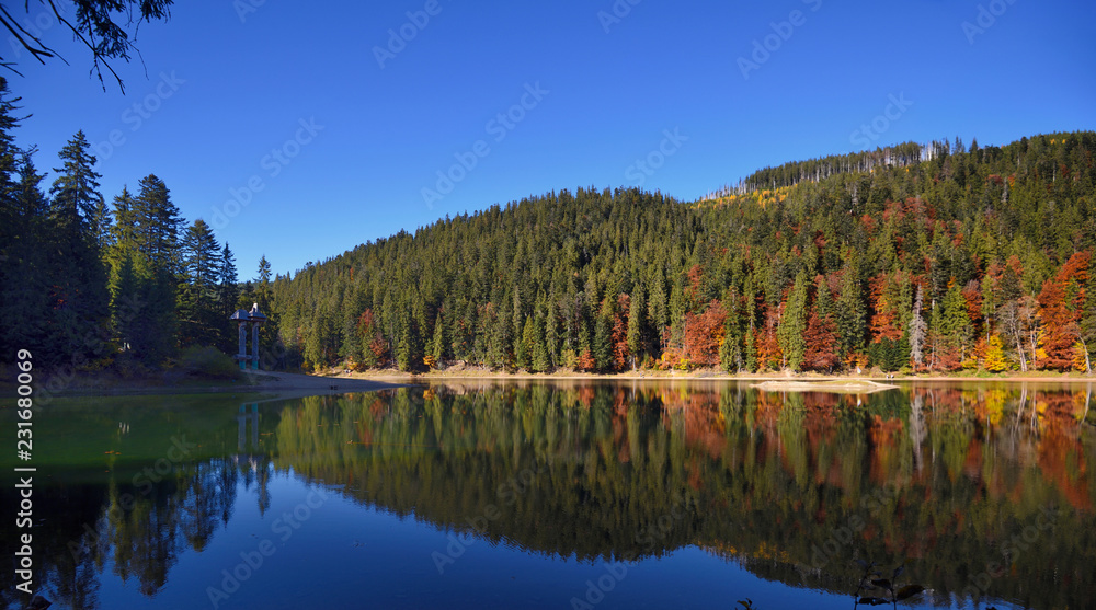 Synevir high altitude lake and forest is reflected in calm water at autumn day