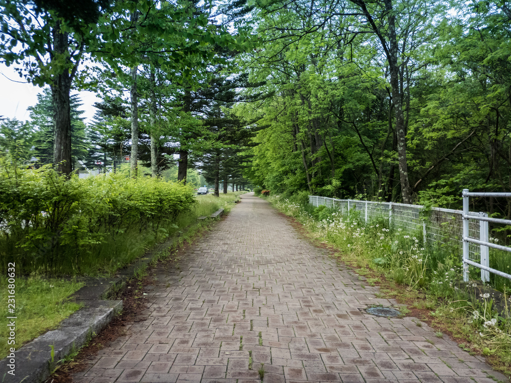 軽井沢の遊歩道