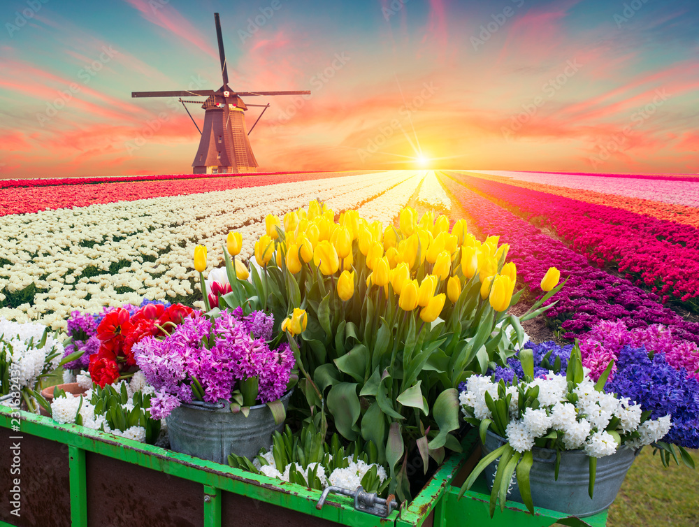 The road leading to the Dutch windmills from the canal in Rotterdam. Holland. Netherlands.