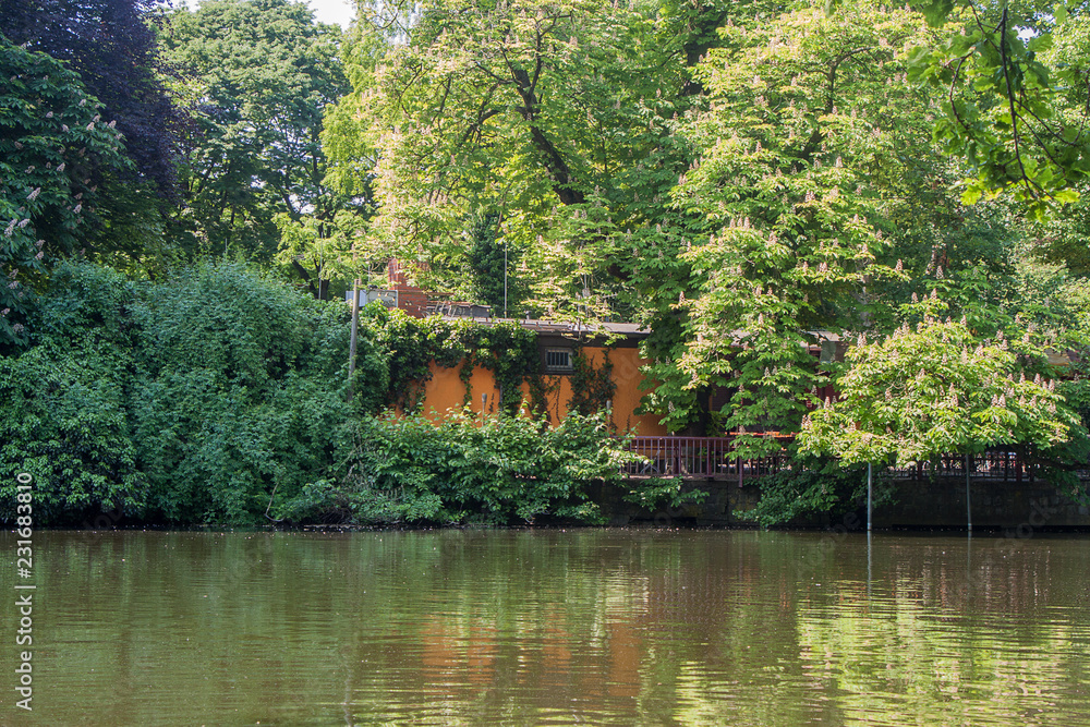 Fototapeta premium Beautiful park scene in public park