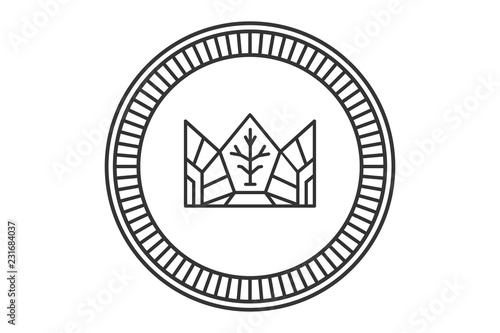 Gold coin with crown and emblem and wood patterns