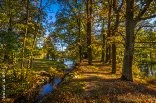 Small stream flowing into lake with path full of colorful fallen leaves with big old trees, near Hamry nad Sazavou, Czech Republic, Orton effect