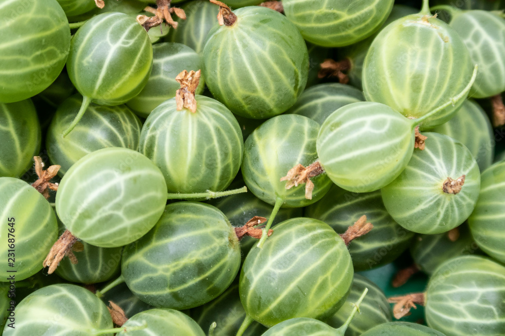 Naklejka premium Background made from freshly harvested gooseberries 