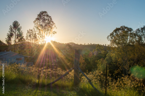 Australian bushland and rural backyard at sunset