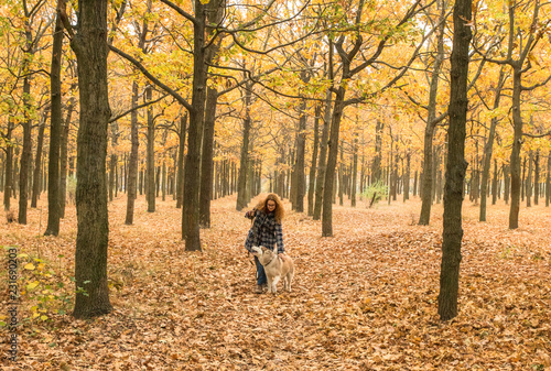 young red haired girl is walking in orange autumn park with two husky dogs © AlexR