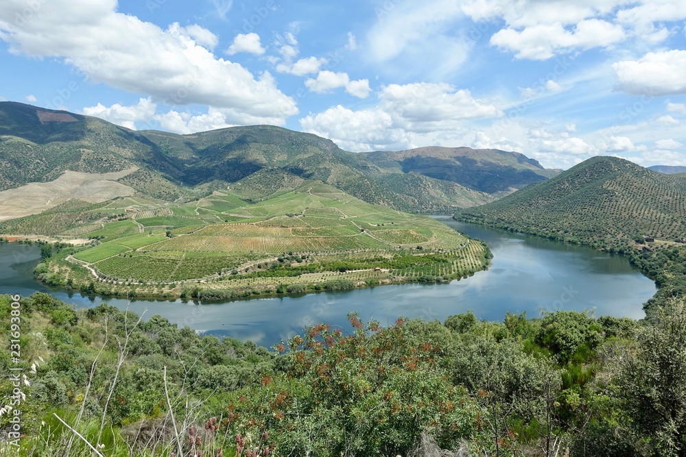 Fototapeta premium Krajobraz rzeki Douro