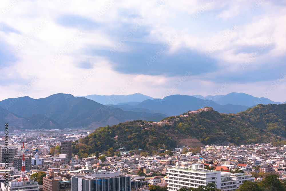 Naklejka premium Shizuoka city skyline with Cherry blossom (Sunpu castle park)