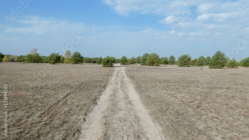 Foto Lieberoser Heide