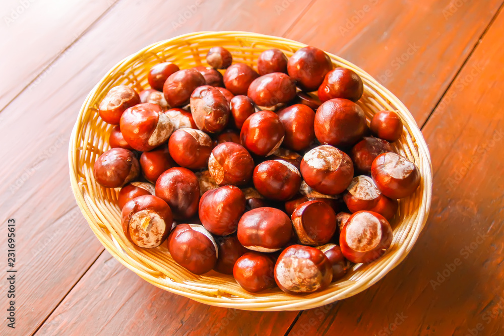 Obraz premium Fresh raw autumn chestnuts. Aesculus hippocastanum.