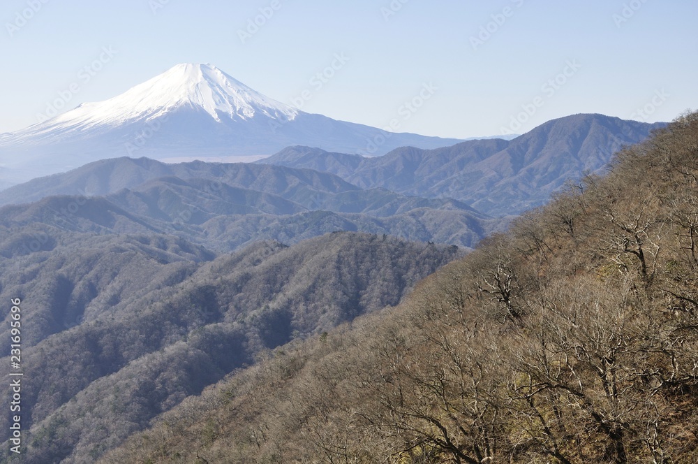 Fototapeta premium 大室山より富士山を望む