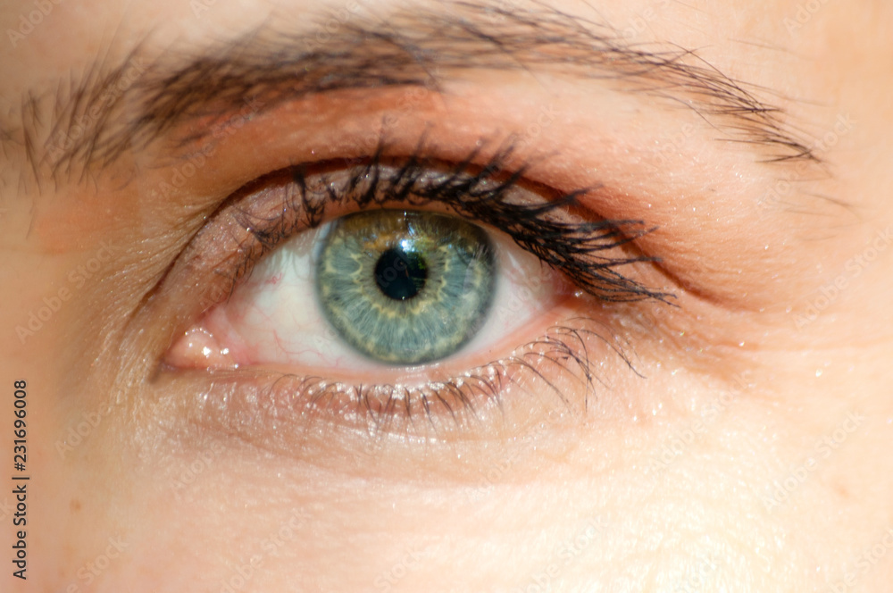 perfect blue green gray eye macro in a sterile environment and perfect vision, vision, vision for the future and healthy lifestyle concept. look exactly and directly at the target. perfect blue green gray eye macro in a sterile environment and perfect vision, vision, vision for the future and healthy lifestyle concept. look exactly and directly at the target.
