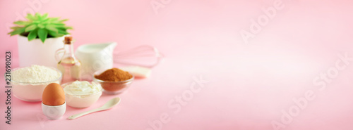 Healthy baking ingredients - butter, sugar, flour, eggs, oil, spoon, brush, whisk, milk over pink background. Banner. Bakery food frame, cooking concept with succulent plant. Copy space.
