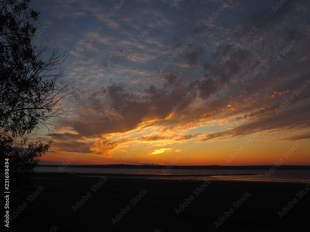 Sunset. On the big river. Coast. Tree and leaves. Summer. Russia, Ural, Perm region