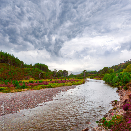 Scottish landscape scenery with violet heather flowers and shallow river