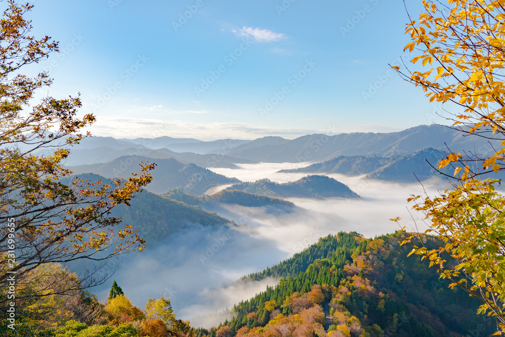 Obraz premium おにゅう峠 紅葉 早朝 大雲海