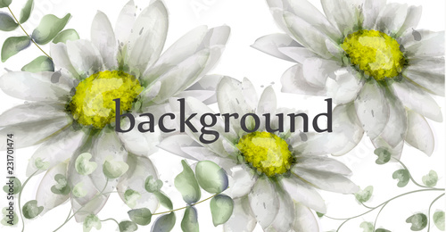 White daisy flowers background watercolor Vector. Beautiful vintage pastel colors floral decor banners