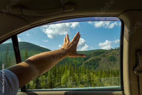 Fototapeta The man's arm, covered with hair, is open, showing the sign of startrek by the f