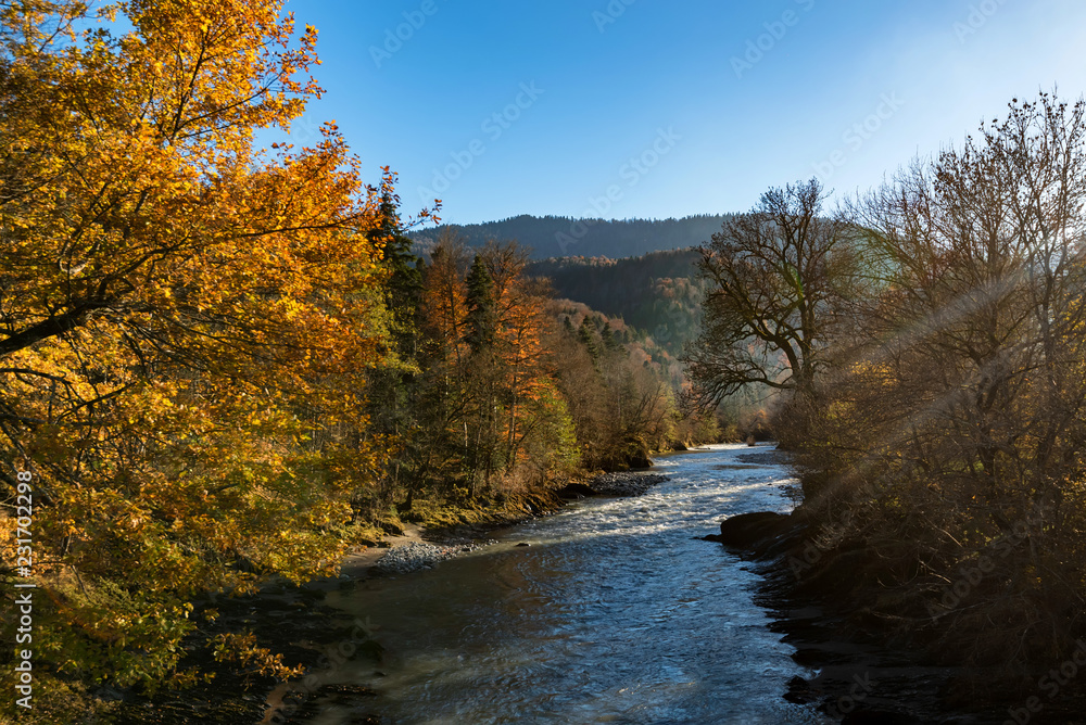 Fall landscape with mountain river and forest