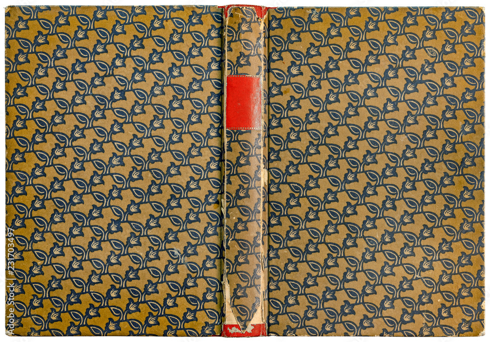 Naklejka premium Antique open book cover with floral pattern and empty label on damaged spine - circa 1909