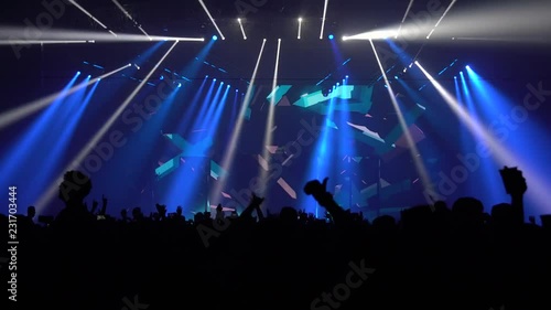 Big DJ concert with light show 2