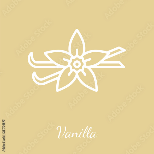 Vanilla vector icon