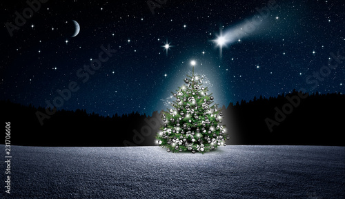 Weihnachtbaum im Nächtlichen Winterwald